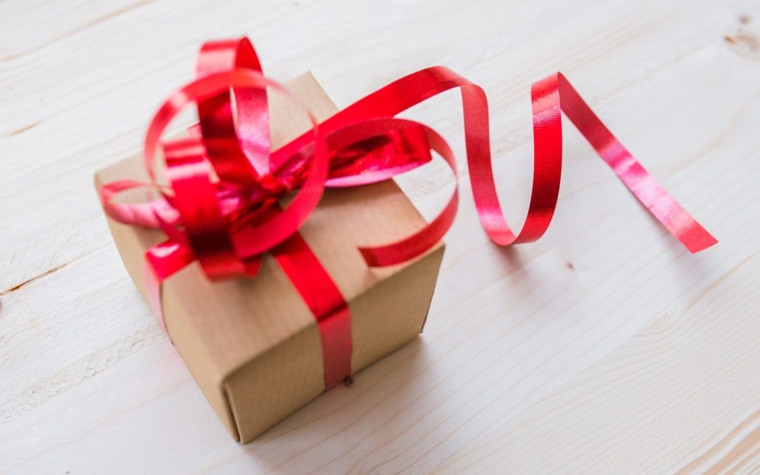 Gift Guide for the Nonprofit Pro – Gifts that Give Back